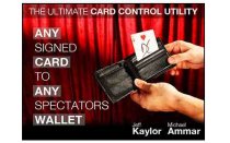 Any Card to Any Spectator's Wallet (DVD and Gimmick) By Jeff Kay