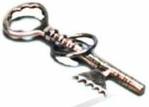 Master Key - Key and Ring Mystery