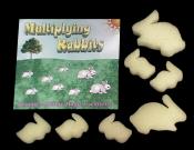 Multiplying Rabbits