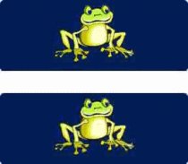 Jumping Frogs Paddles