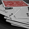 100% Plastic Bicycle Decks (808 Rider Back)