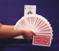 Jumbo Bicycle Deck