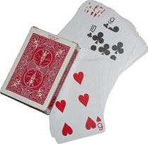 Double Face Bicycle Deck