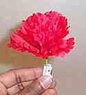 Match to Flower