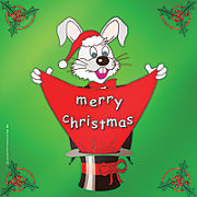 Merry Christmas Silk 18″