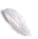 Flash Feathers