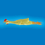 Rubber Chicken