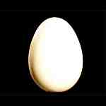 Wooden Egg