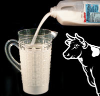 Milk Pitcher